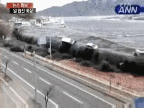 동일본대지진 -쓰나미