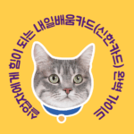 실업자에게 힘이 되는 내일배움카드(신한카드) 완벽 가이드