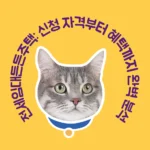 든든한 보금자리, 전세임대든든주택: 신청 자격부터 혜택까지 완벽 분석