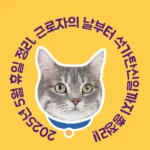 2025년 5월 휴일 정리, 근로자의 날부터 석가탄신일까지 총정리!