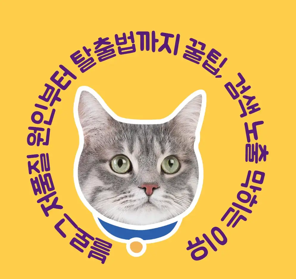 블로그 저품질 원인부터 탈출법