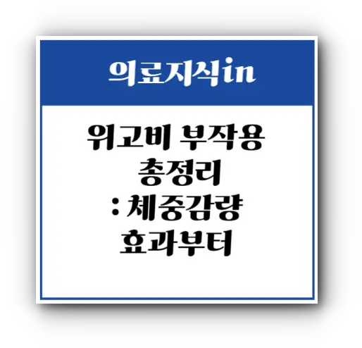 위고비 부작용 총정리