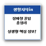 장마철 꿀팁 총정리: 습기 제거부터 음식 보관, 옷 관리까지 실생활 핵심 정보!