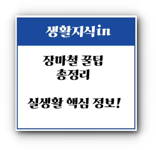 장마철 꿀팁 총정리