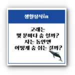 고래는 몇 분마다 숨 쉴까? 자는 동안엔 어떻게 숨 쉬는 걸까?