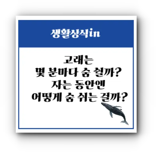 고래는 몇 분마다 숨 쉴까? 자는 동안엔 어떻게 숨 쉬는 걸까?