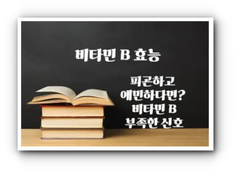비타민B