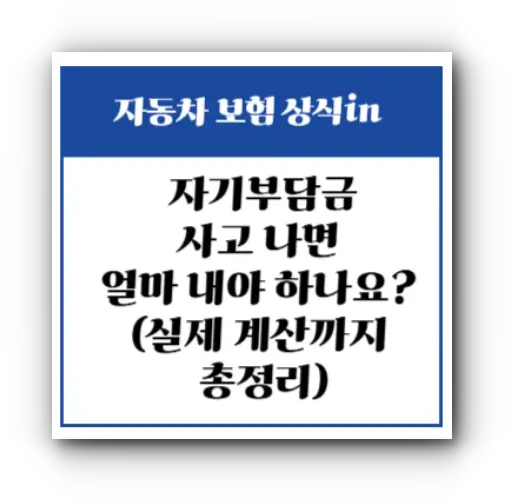 자동차보험 자기부담금