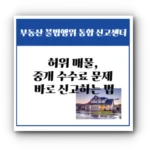 부동산 불법행위 통합 신고센터 완전 정리｜허위 매물, 중개 수수료 문제 바로 신고하는 법