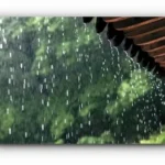 비가 내리기 전 나는 흙냄새, 페트리코어(Petrichor)의 비밀