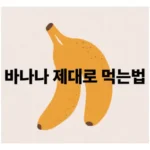 바나나 섭취, 하루 몇 개가 적절할까요? 아침, 점심, 저녁 중 언제 먹는 것이 가장 좋을까요? 🍌 시간대별 섭취 가이드