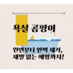 욕실 곰팡이: 꿉꿉한 냄새와 검은 얼룩, 왜 생길까요? 원인부터 완벽 제거, 재발 없는 예방까지!