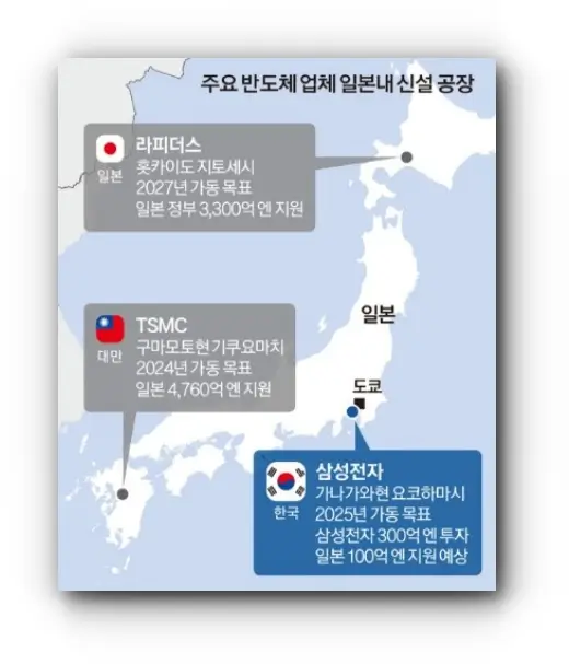 라피더스 위치