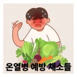 온열 증상 완화시키는 채소, 여름철 열사병 예방에 좋은 음식 8가지 완벽 가이드