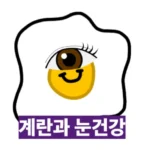 눈에 계란이 좋은 이유, 루테인과 제아잔틴의 놀라운 비밀