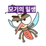 모기 수명, 암컷과 수컷은 얼마나 살까? | 모기 일생 완벽 분석 및 퇴치 꿀팁