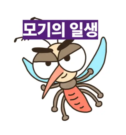 모기의 일생