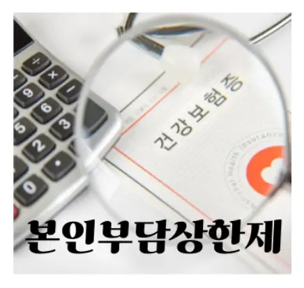 본인부담상한제
