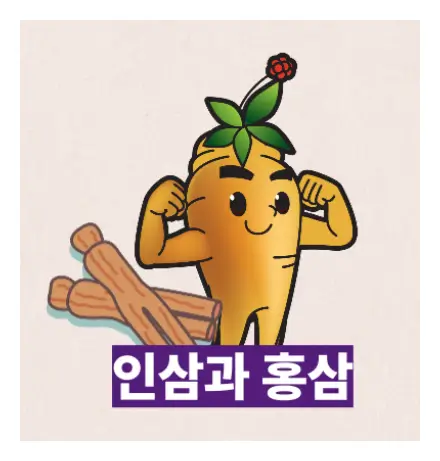 인삼과 홍삼