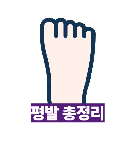 평발총정리