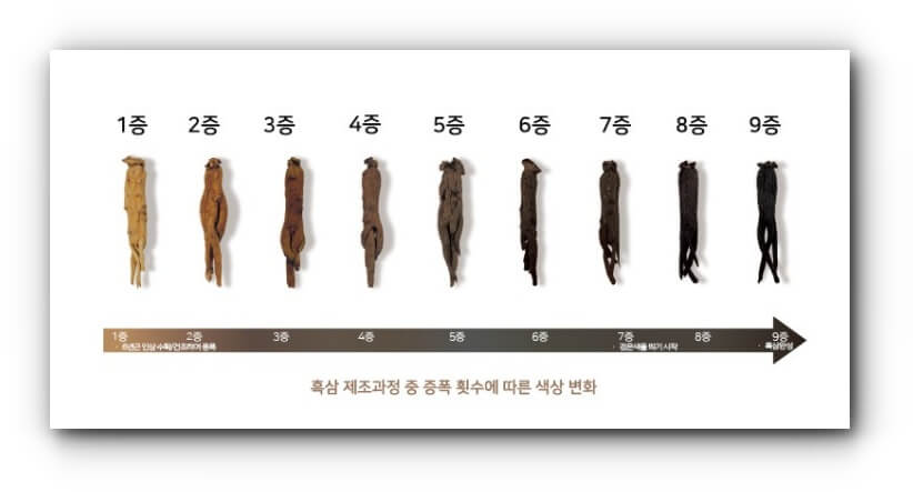 홍삼의 종류