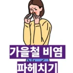 가을철 비염 원인 치료 예방 좋은 음식과 관리 방법 완전 정리 🍂